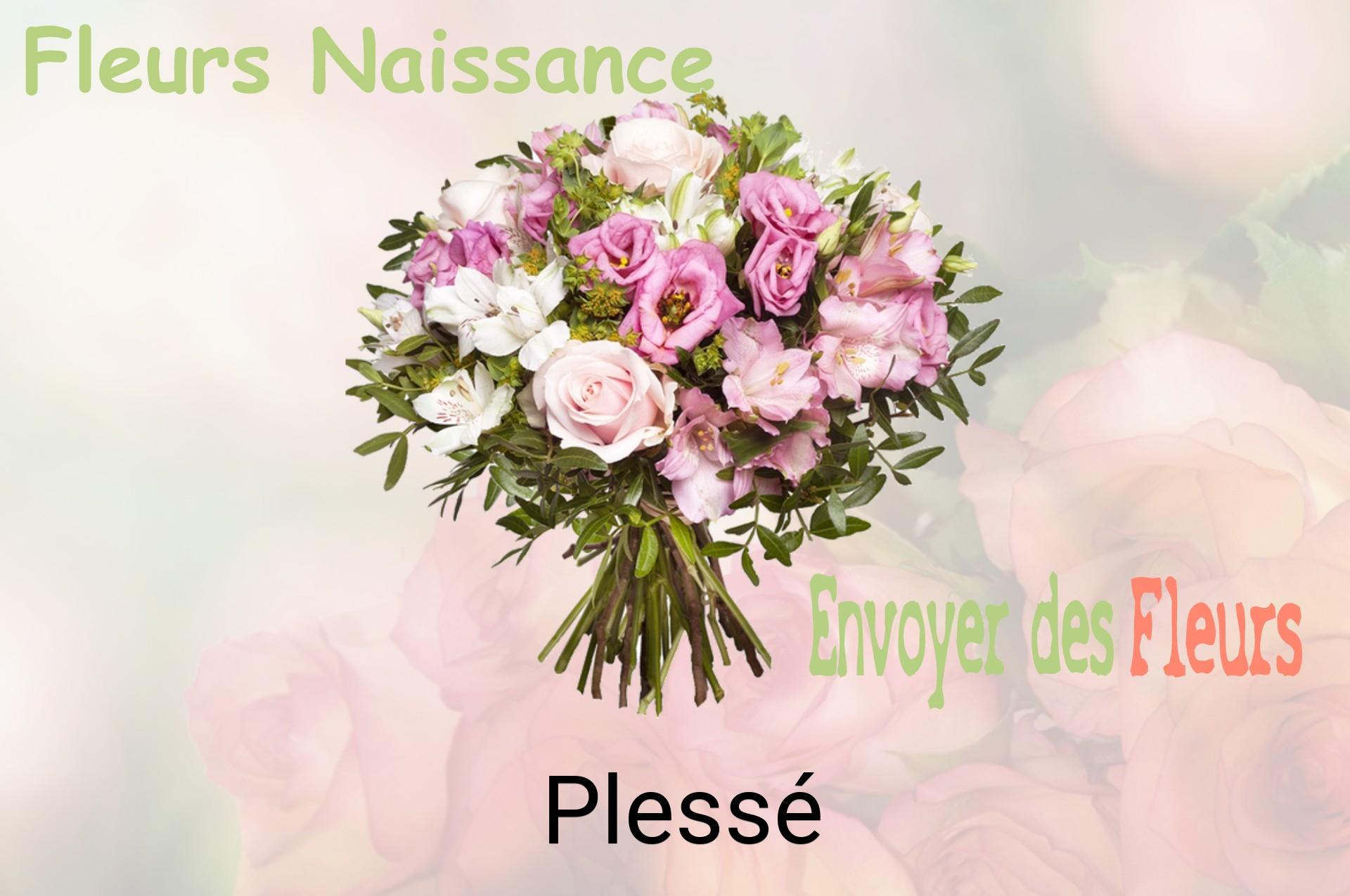 Bouquet de fleurs de naissance livré à Plessé