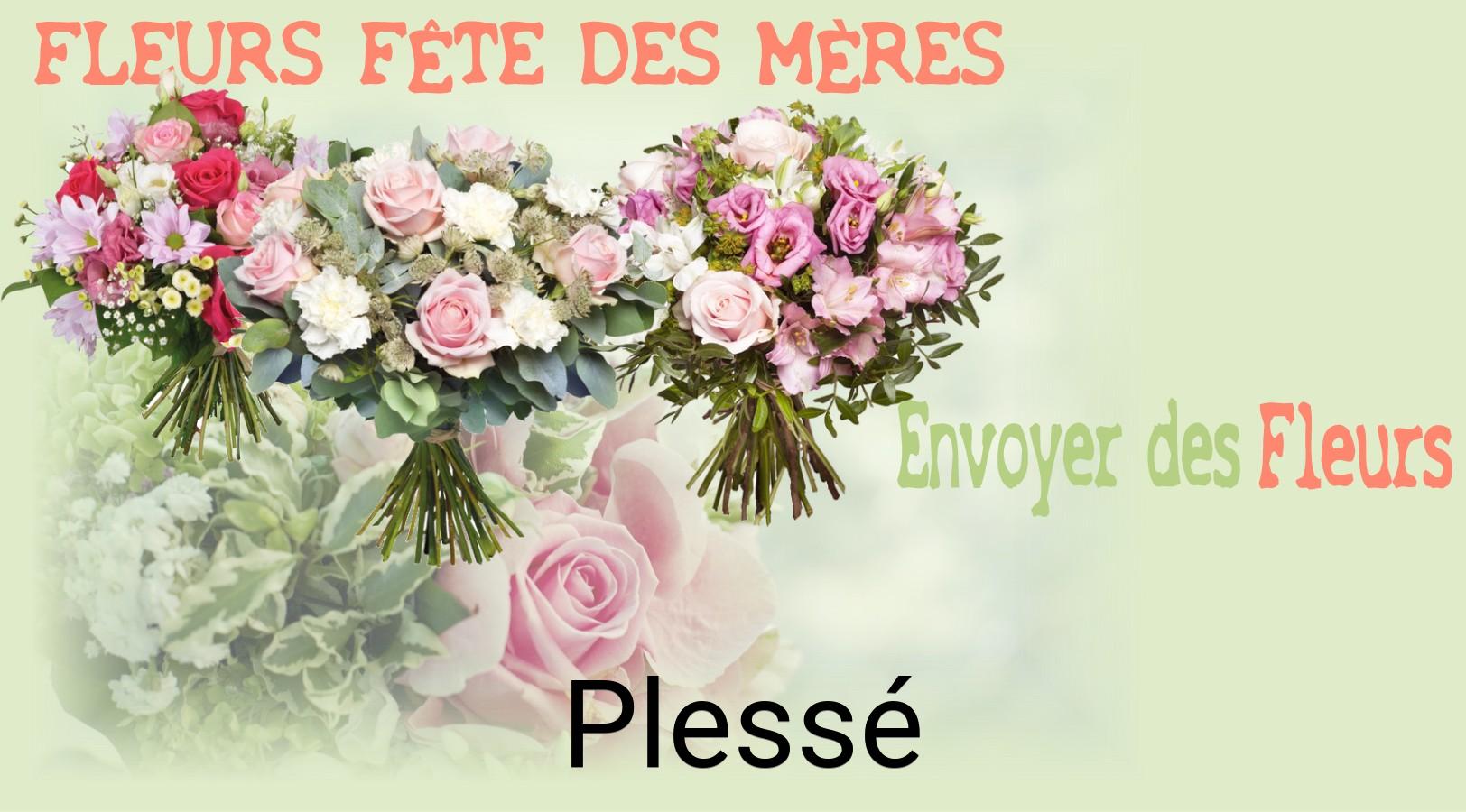 Bouquet de Fête des Mères livré à Plessé